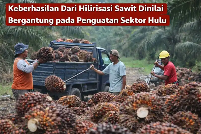 Read more about the article Keberhasilan Dari Hilirisasi Sawit Dinilai Bergantung pada Penguatan Sektor Hulu