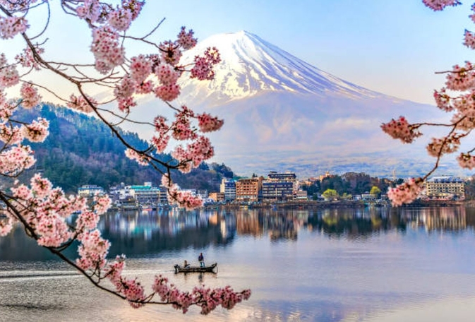 Read more about the article Festival Bunga Sakura dengan Pemandangan Gunung Fuji Resmi Dibatalkan